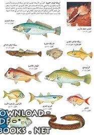  الأسماك البحرية pdf