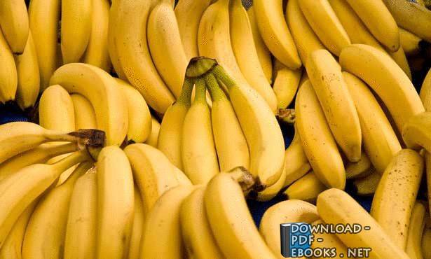 دليل انتاج الموز 